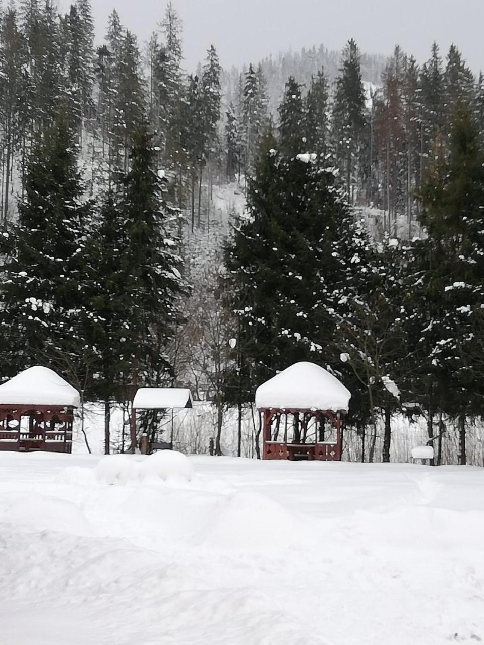 Кукулька Міні-Готель Slavske Exteriér fotografie